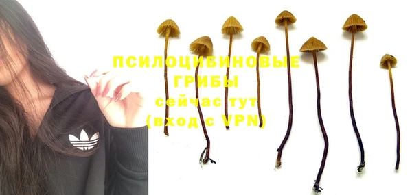 кокаин премиум Арсеньев