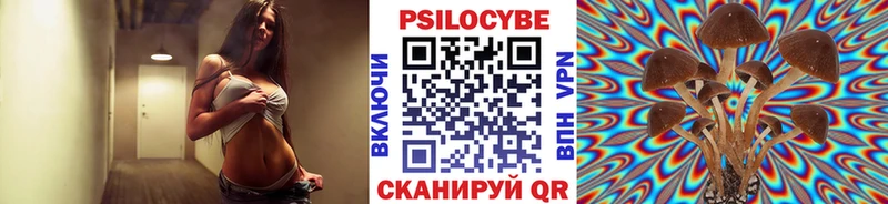 Псилоцибиновые грибы Cubensis  Мамоново 